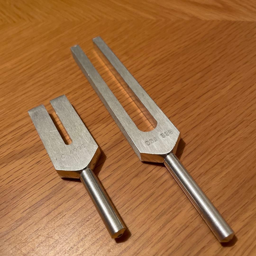 音叉　セット　biosonics 528 4096