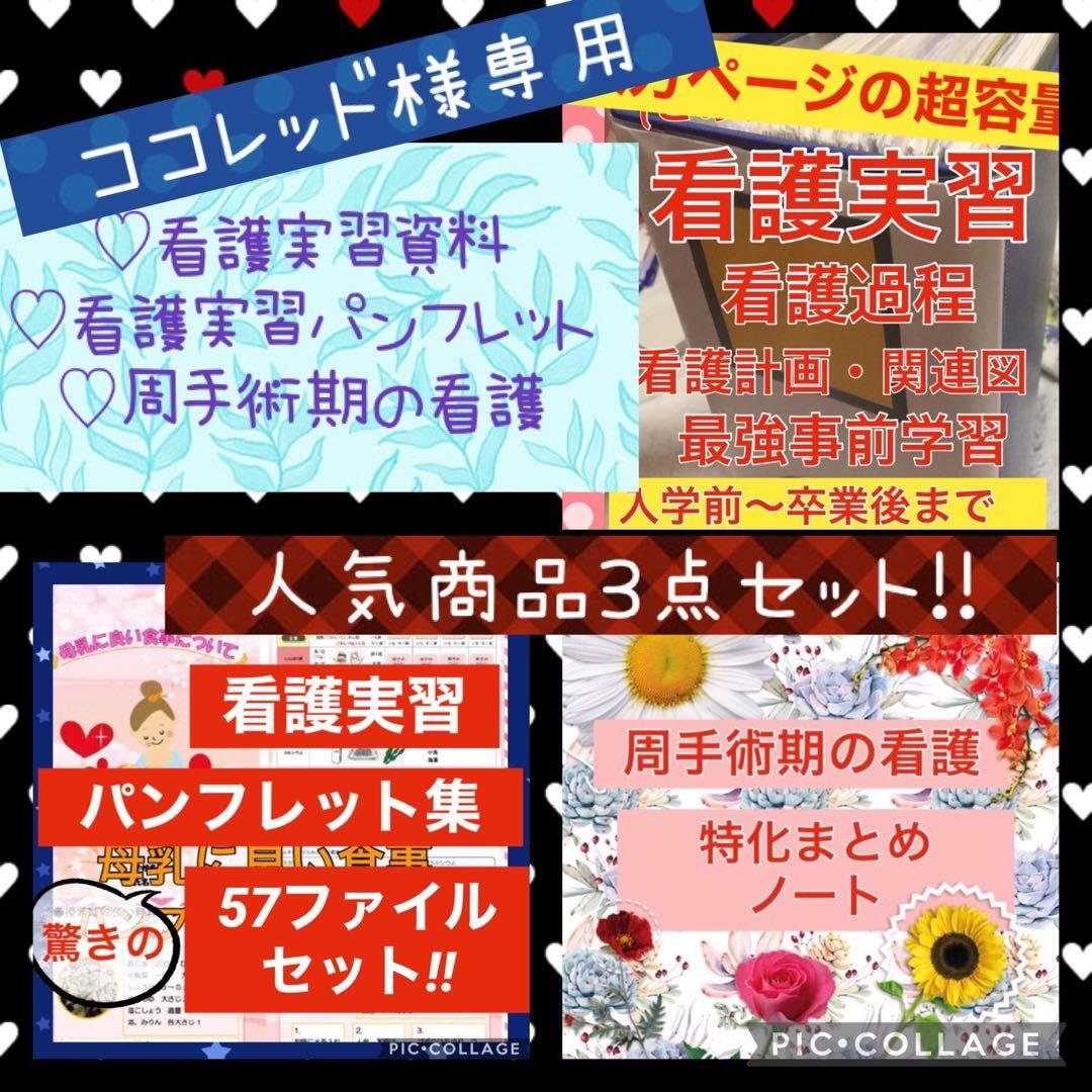 専用 看護学生 看護学校 手順書 関連図 パンフレット 周手術期 急性期 国試