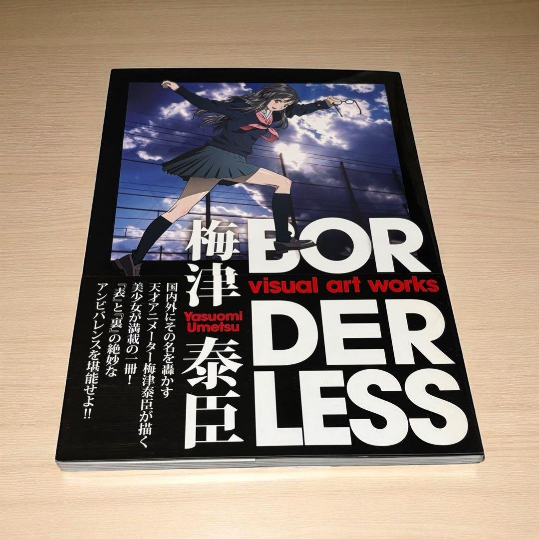 梅津泰臣 visual art works BORDERLESS