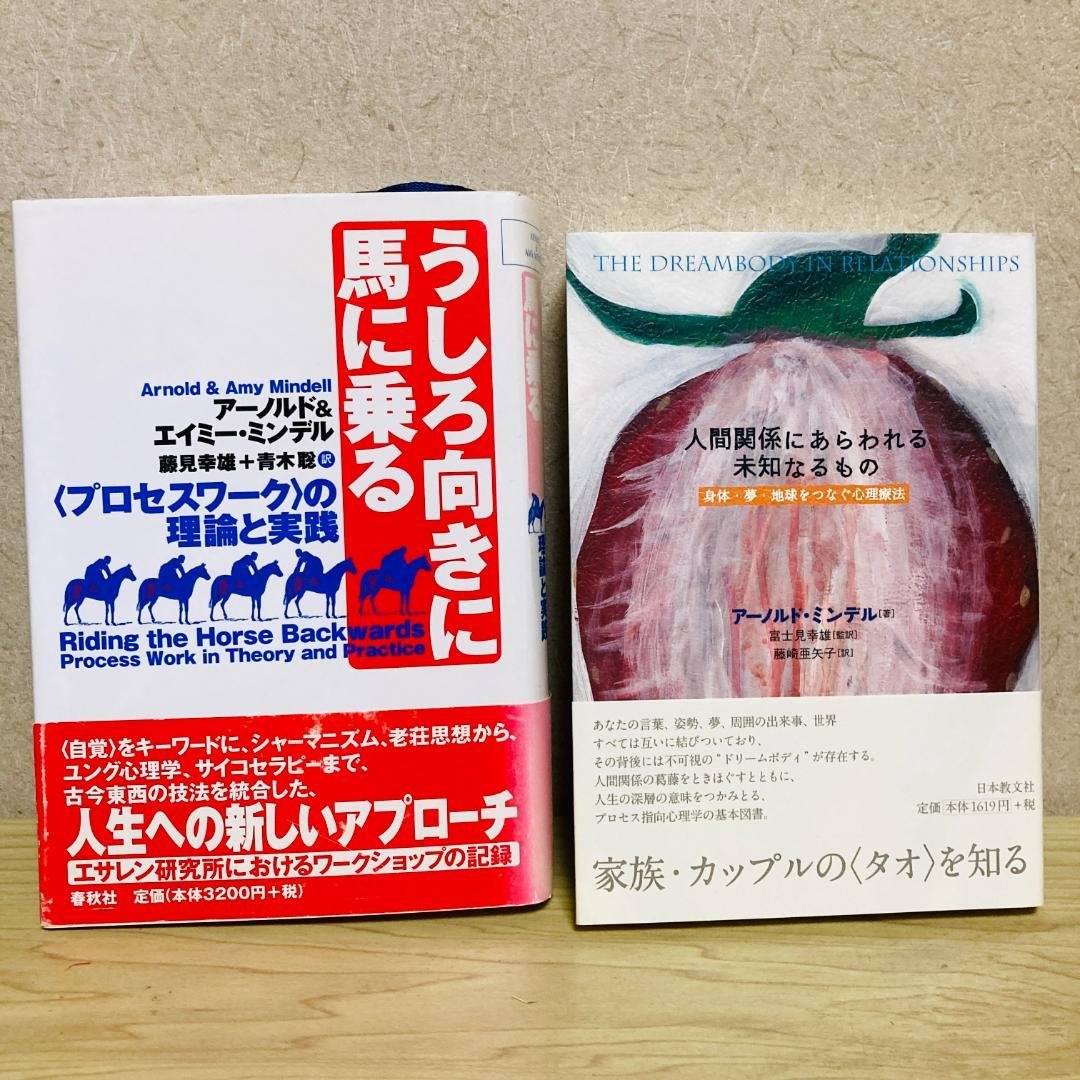 うしろ向きに馬に乗る、人間関係にあらわれる未知なるもの、アーノルド・ミンデル