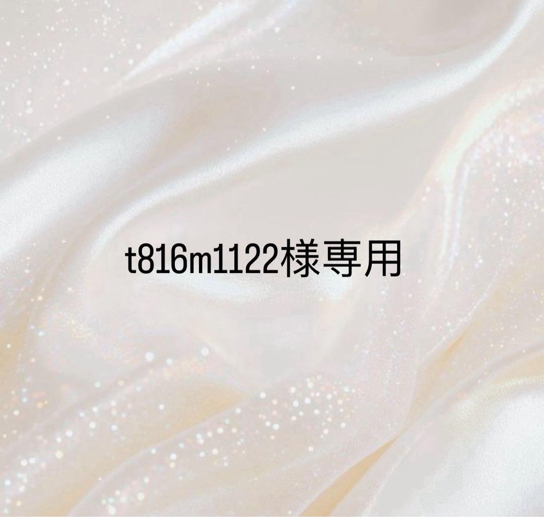 LouisVuitton Tシャツ 半袖 新品 タグ付き Mサイズ ルイヴィトン