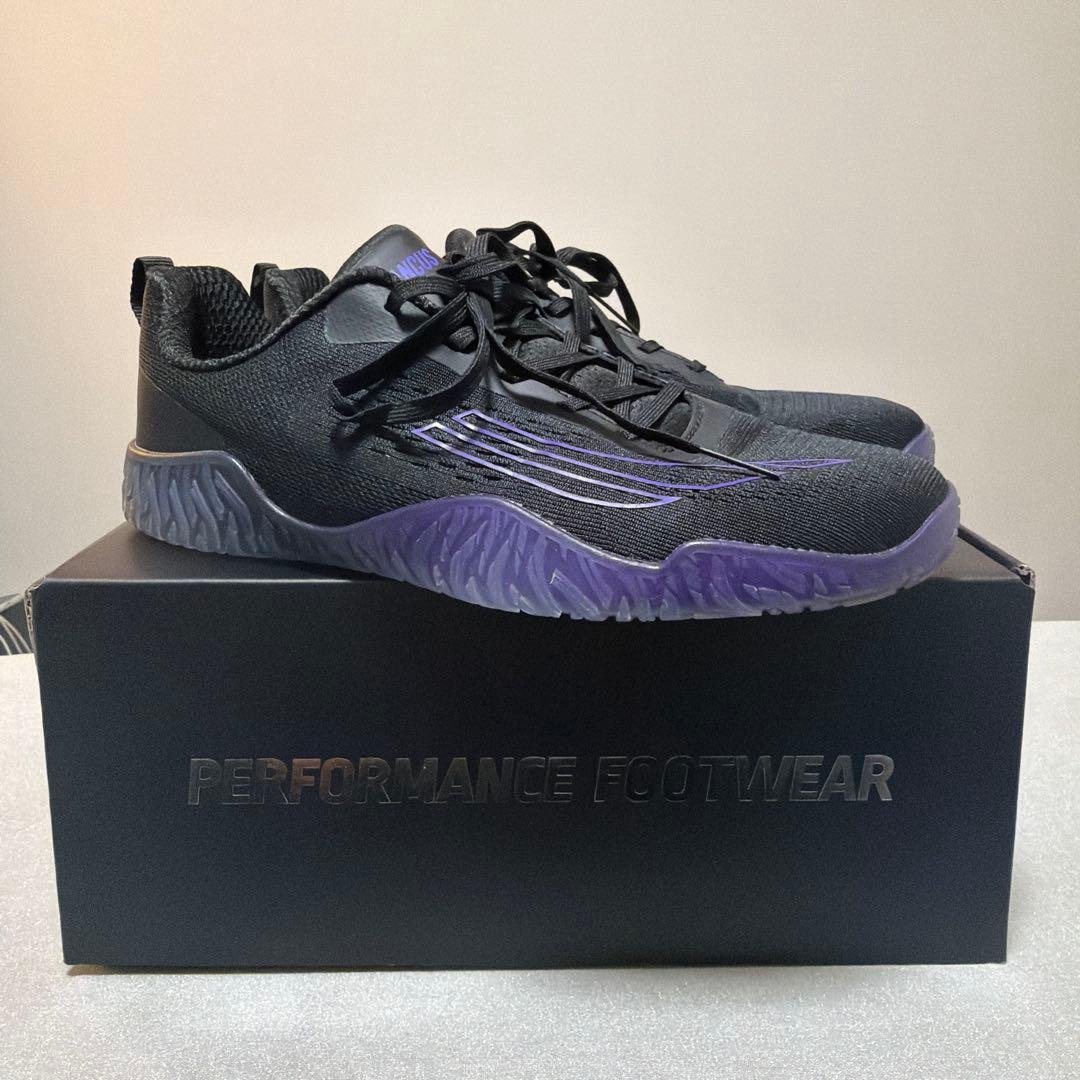 ウエイトトレーニング Avancus apex power v3