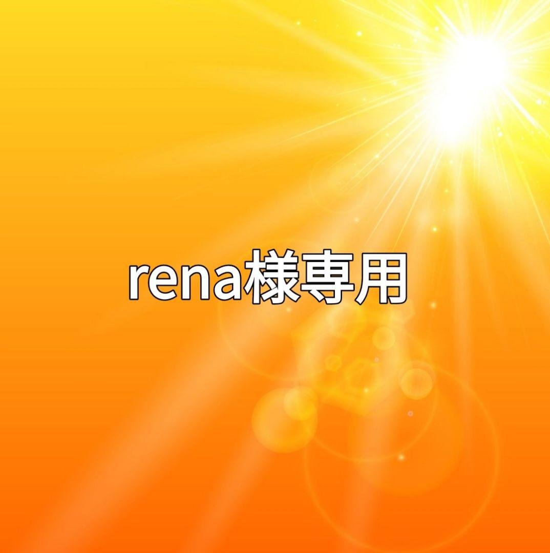 ミュージシャン rena