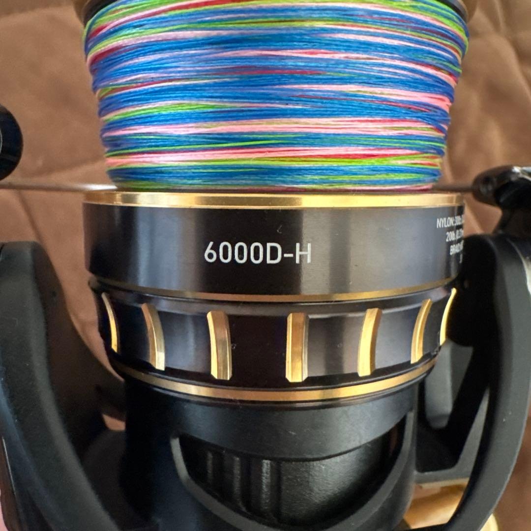 ダイワ23BGSW6000D-H