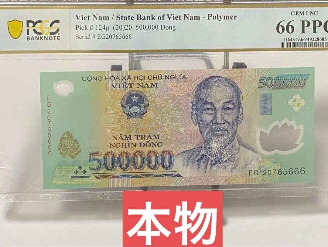 ベトナムドン ベトナム紙幣 ベトナムお金 50万ドン　外国紙幣　(セール中)