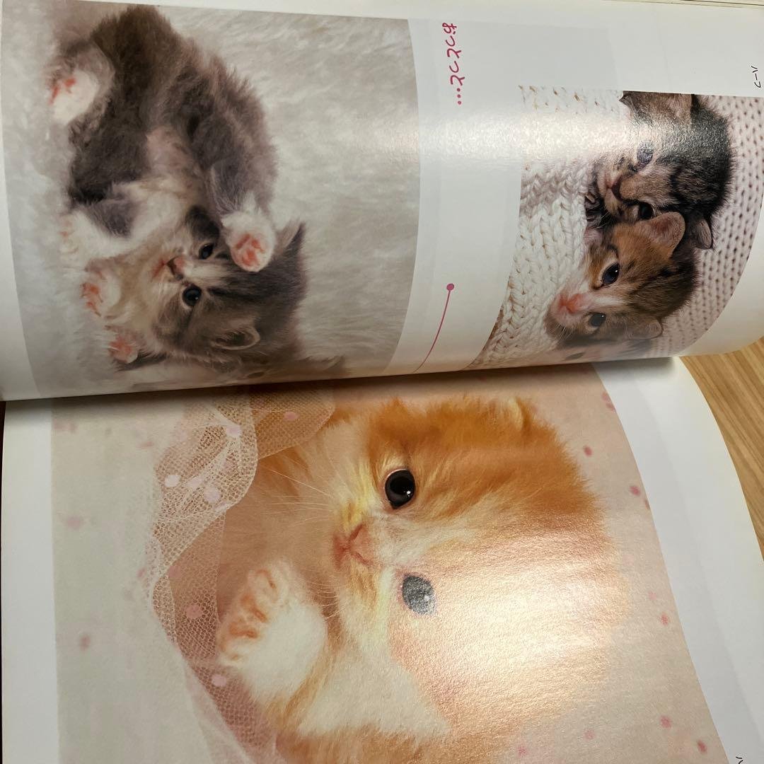 子猫の大行進 写真集