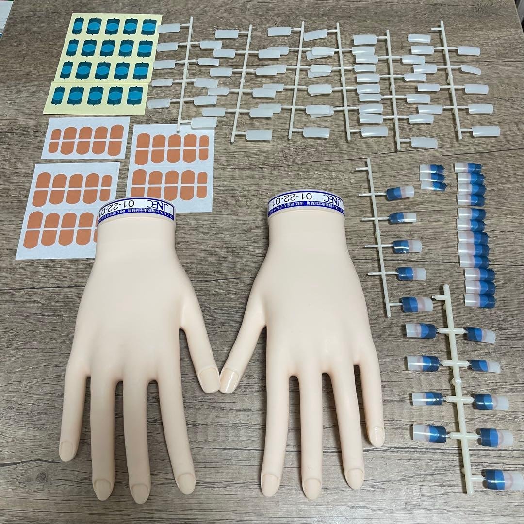 【本番用美品✨】JNECネイリスト技能検定試験認定モデルハンド 骨折なしチップ有