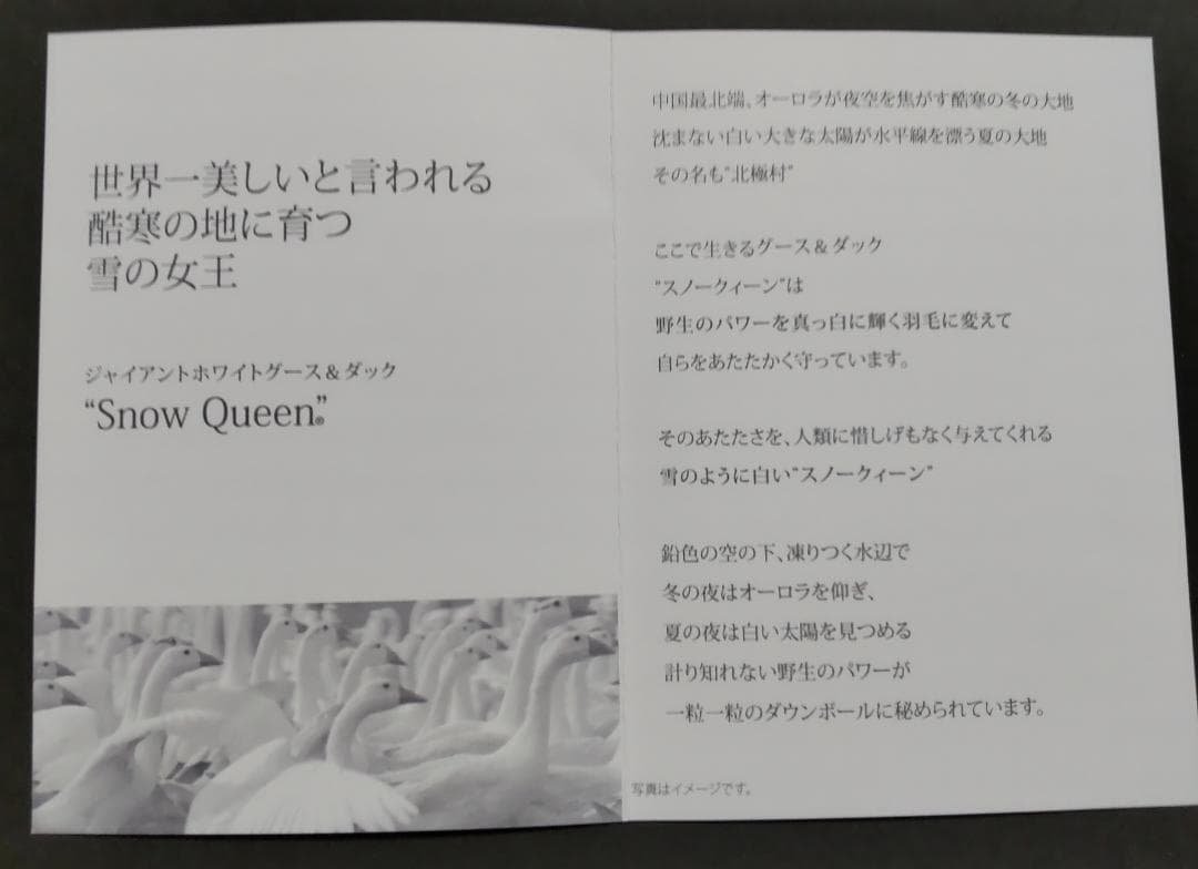 羽毛掛けふとん シングル　ホワイトマザーグース95％  Queen