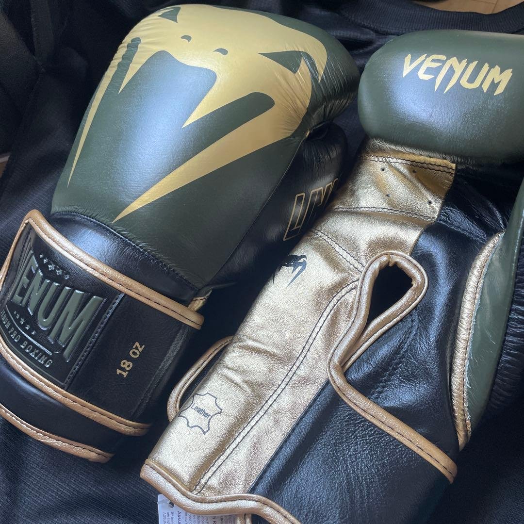 グローブ撤退な。ホルヘリナレスエディション　ヴェヌムボクシンググローブ　18
