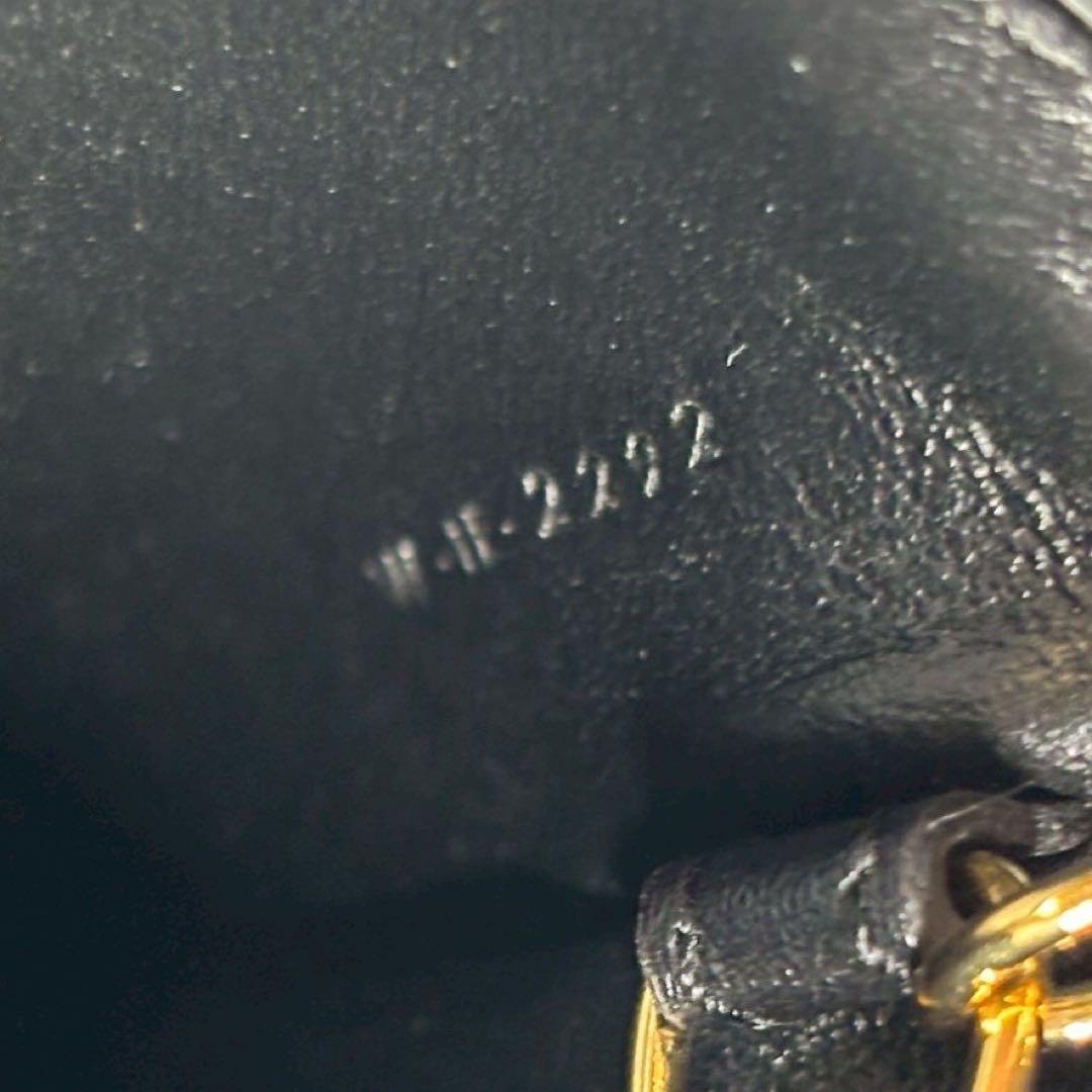 専用✨ CELINセリーヌ ケース キュイル トリオンフ