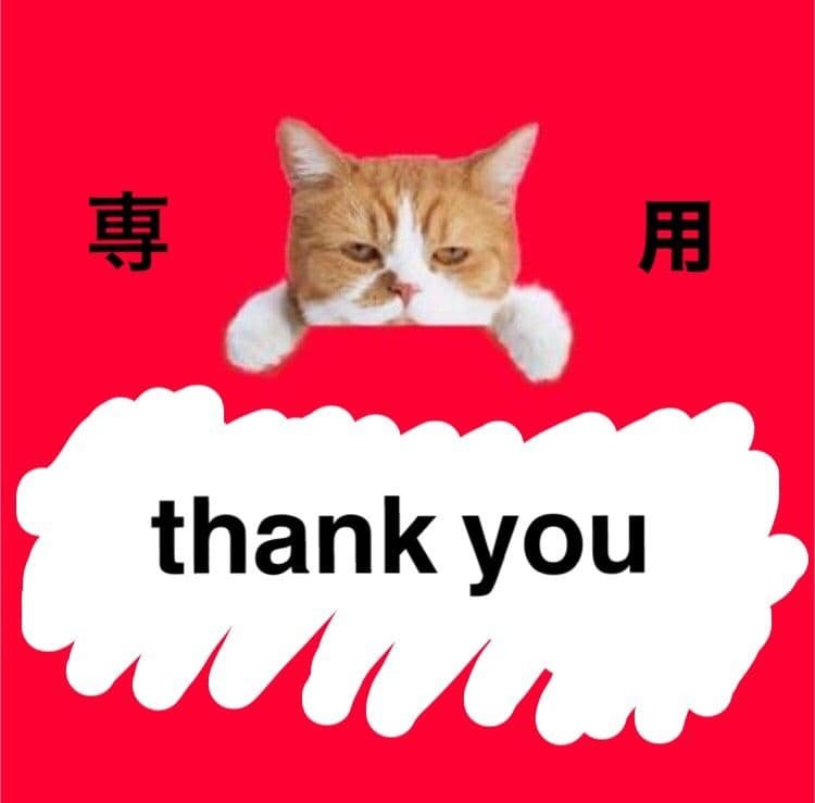 リモコン無し　SONY ソニーブルーレイレコーダー HDD 1TB 2チューナー