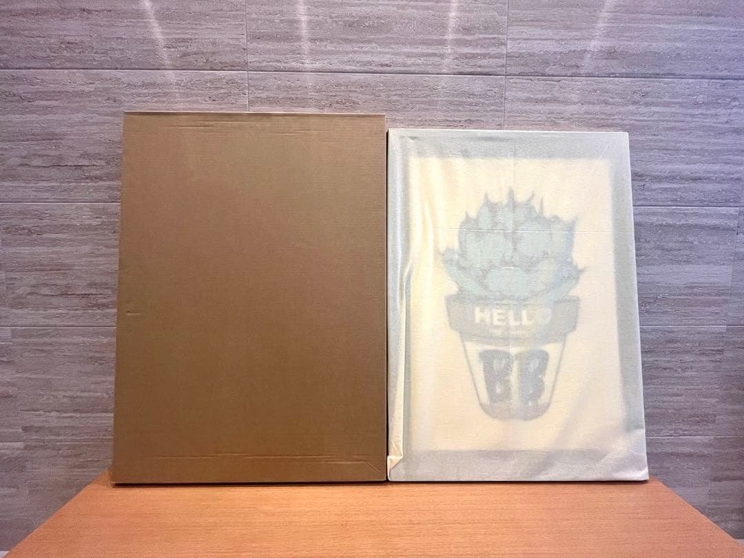 GIRUVI Agave Black&Blue アガベ ブラックアンドブルー