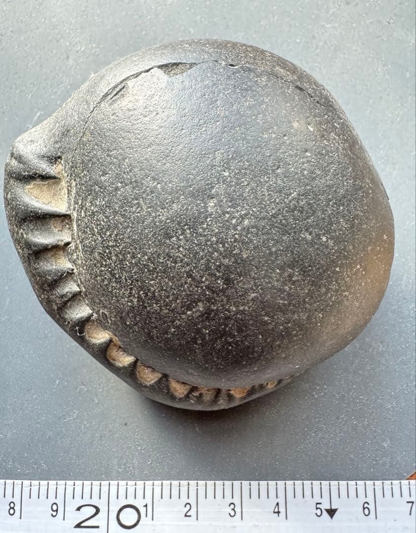 アンモナイト化石 黒色 大きい