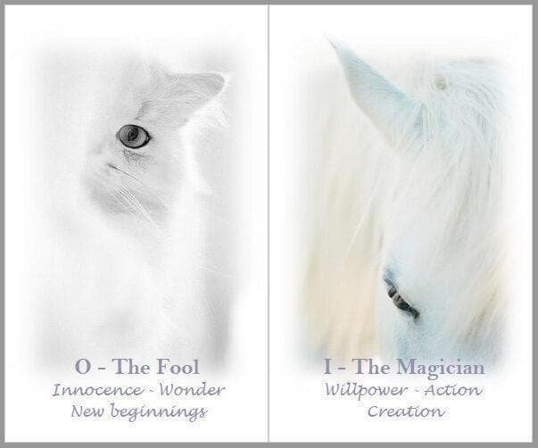 【正規品タロットカード】美麗✨美しい白の世界のタロット✨入手困難海外デッキ