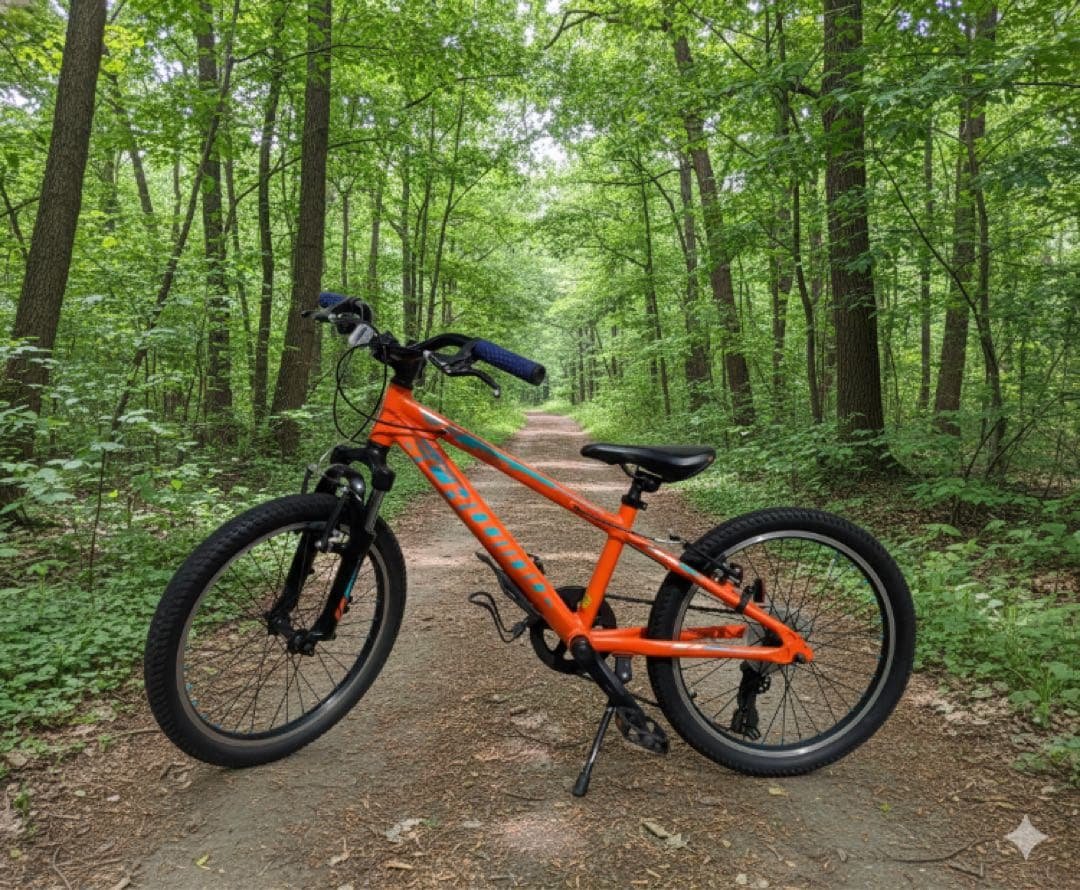 SCHWINN MTB 「MESA20」20インチ　引き取り限定