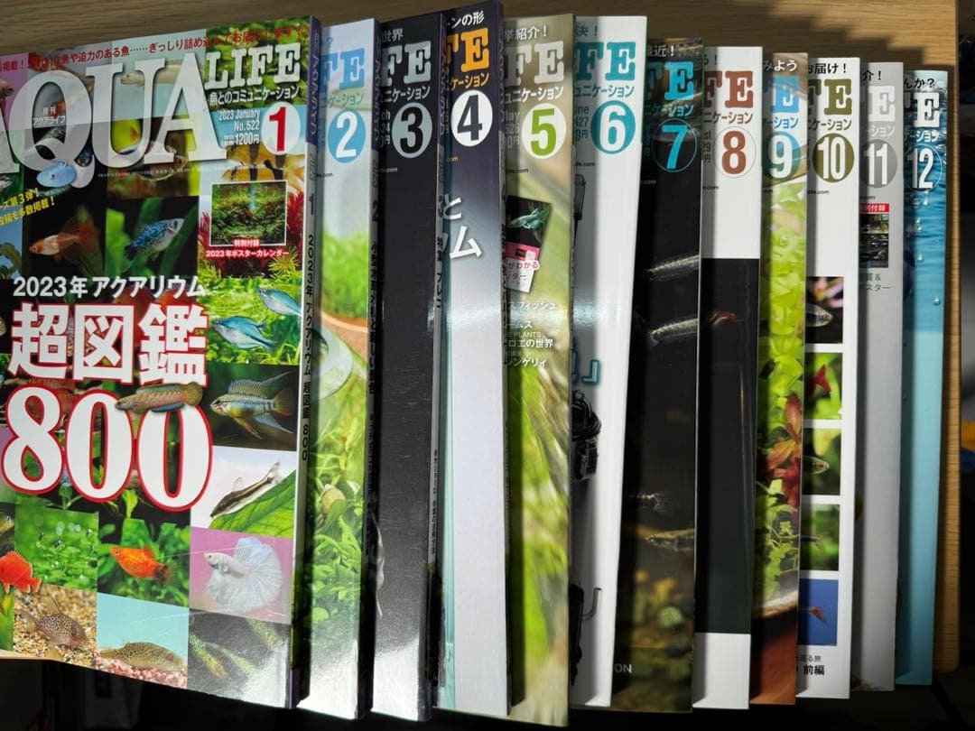 月刊アクアライフ 2023年全号 バックナンバー