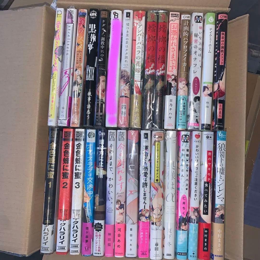 BL漫画　29冊セットC