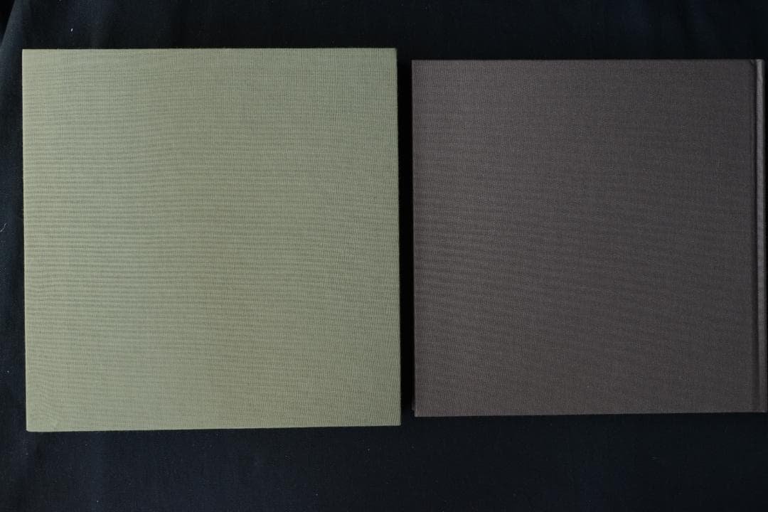 【The Bone House ：Joel-Peter Witkin 】★新品