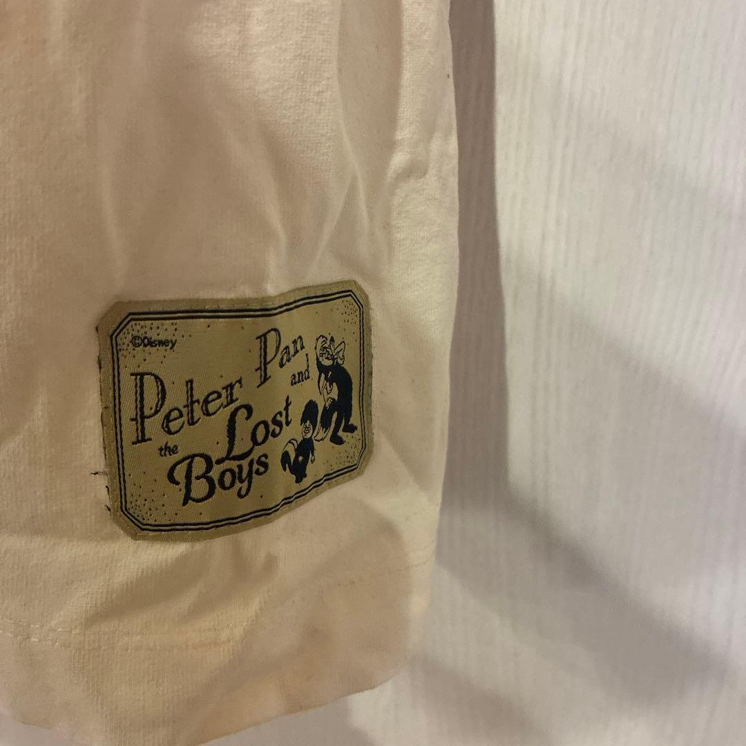 ZARA x Disney 長袖カットソー L ピーターパン　ナナ　完売品