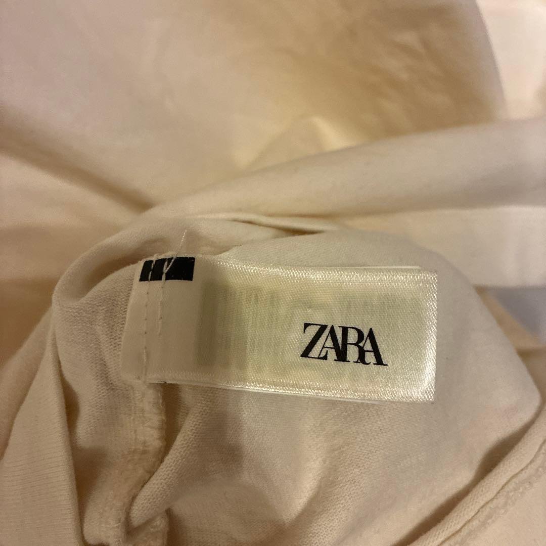 ZARA x Disney 長袖カットソー L ピーターパン　ナナ　完売品