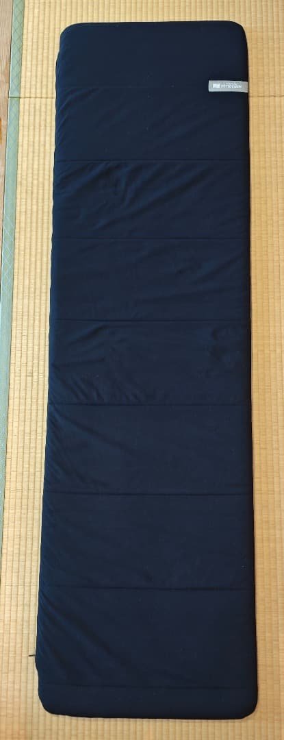 難あり　エアウィーヴ Airweave ポータブル mini　収納ケース付き