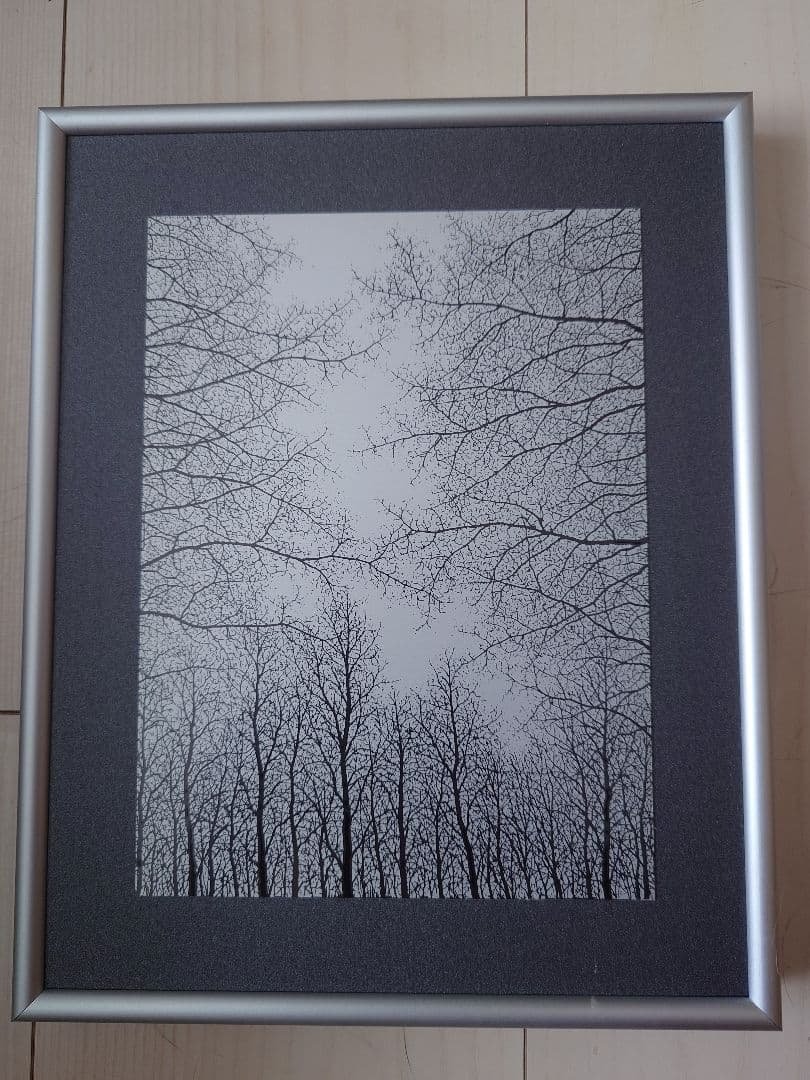 【限定価格】冨岡惣一郎 額装作品「早春・樹」 八海山 モノクロ 真作保証 美術品