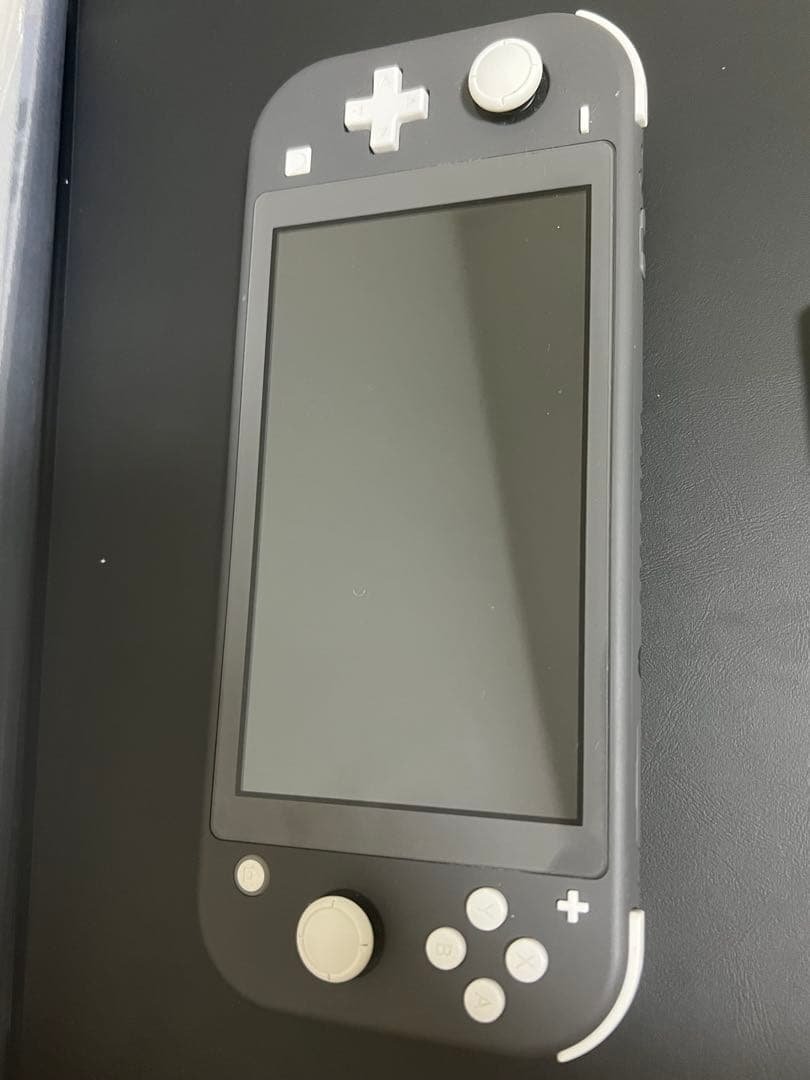 Nintendo Switch Lite グレー 〈液晶不調〉
