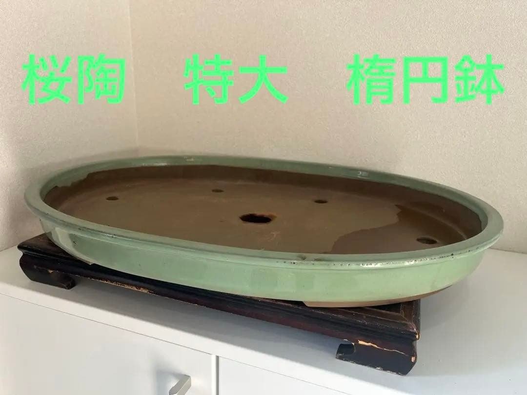 特大　桜陶　落款　緑釉　楕円　盆栽鉢