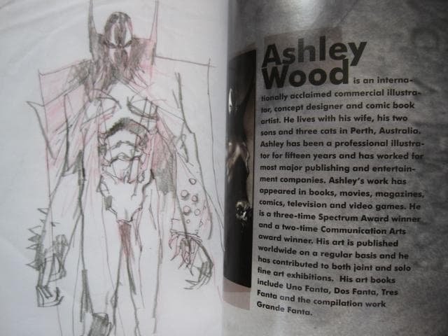 Hellspawn： The Ashley Wood Collection