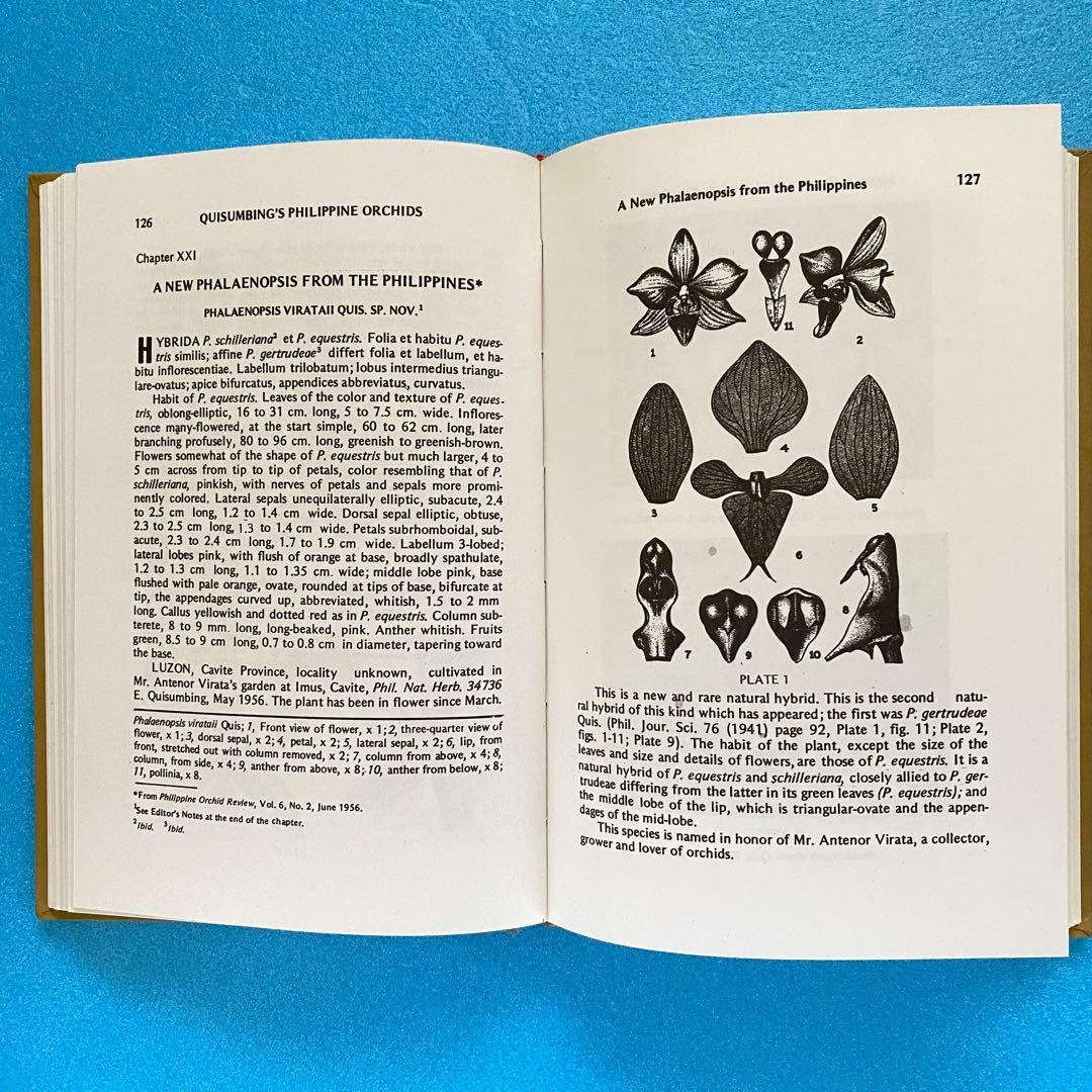 【洋書】フィリピン産ラン科植物