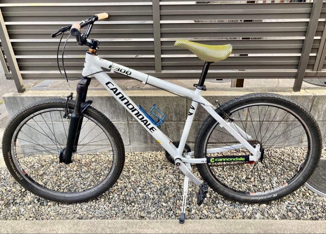 レアUSA製　キャノンデール　F300 Mサイズ　bluelug ブルーラグ