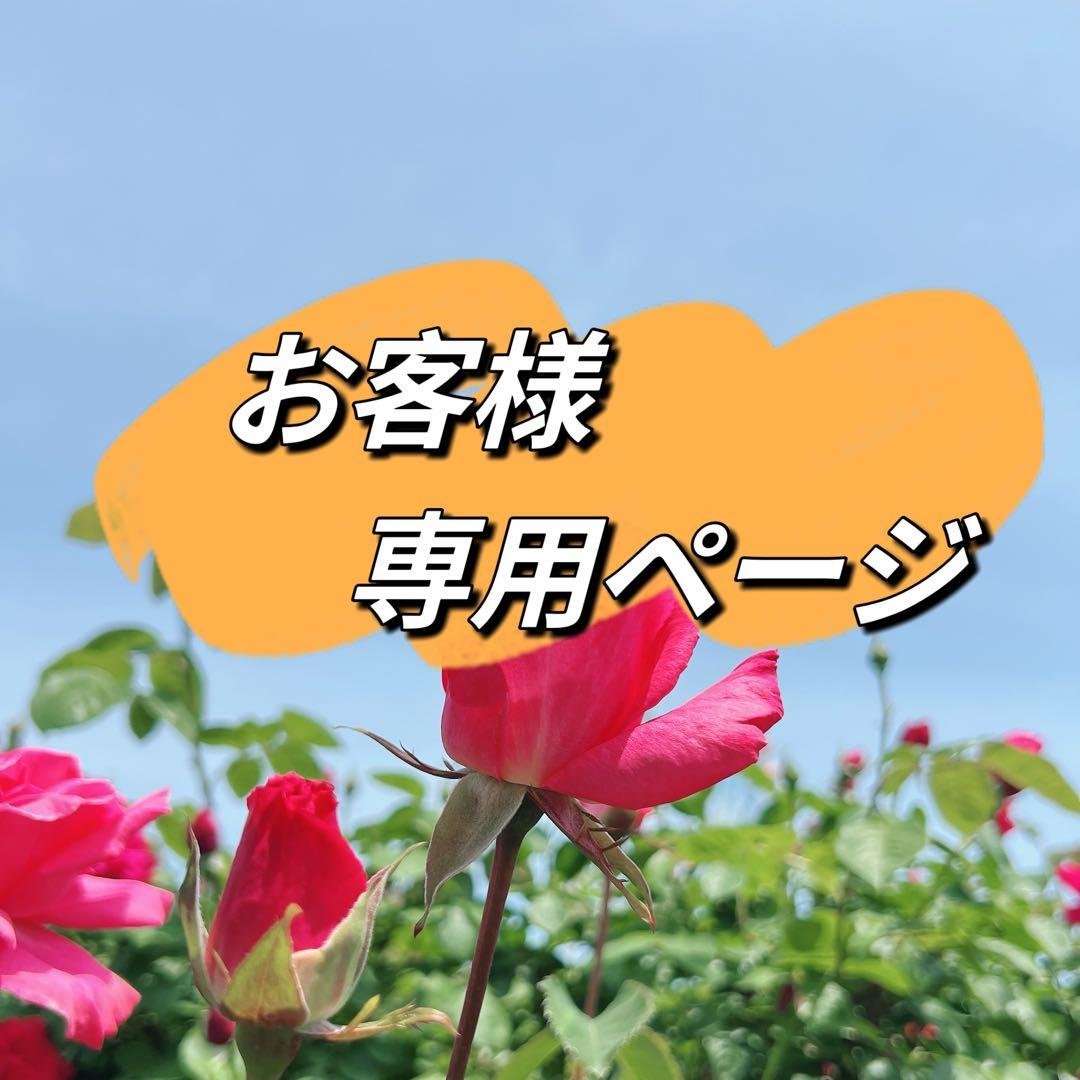 AMi様 リクエスト 5点 まとめ商品　ケシパールリング　ペンダントトップ