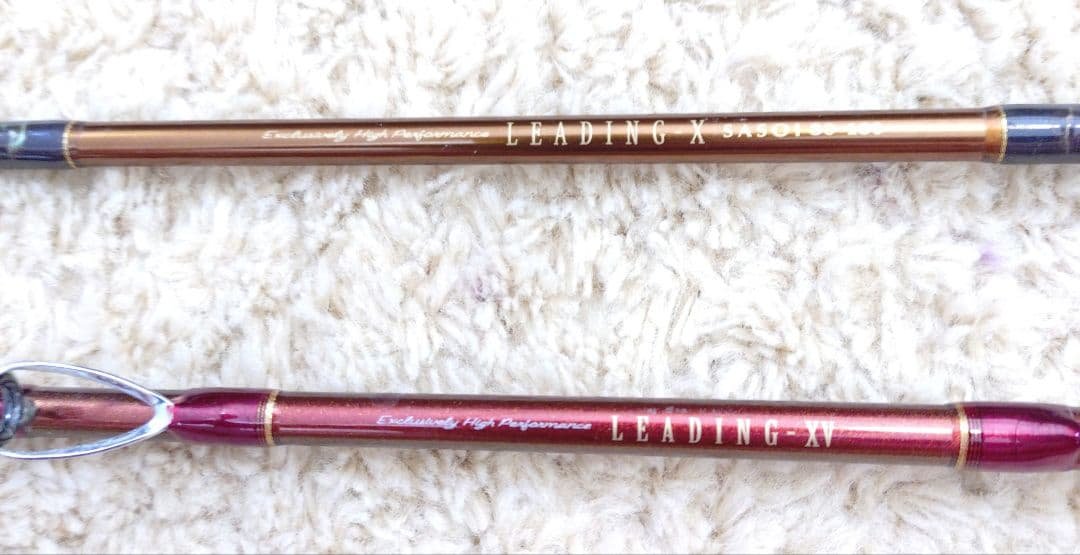 【Daiwa】LEADING 2本