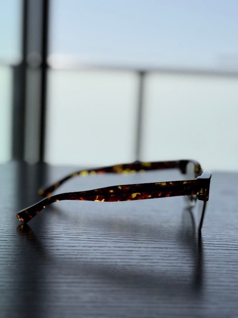 調光サングラス UNCROWD/アンクラウド　LANCER tort/clear