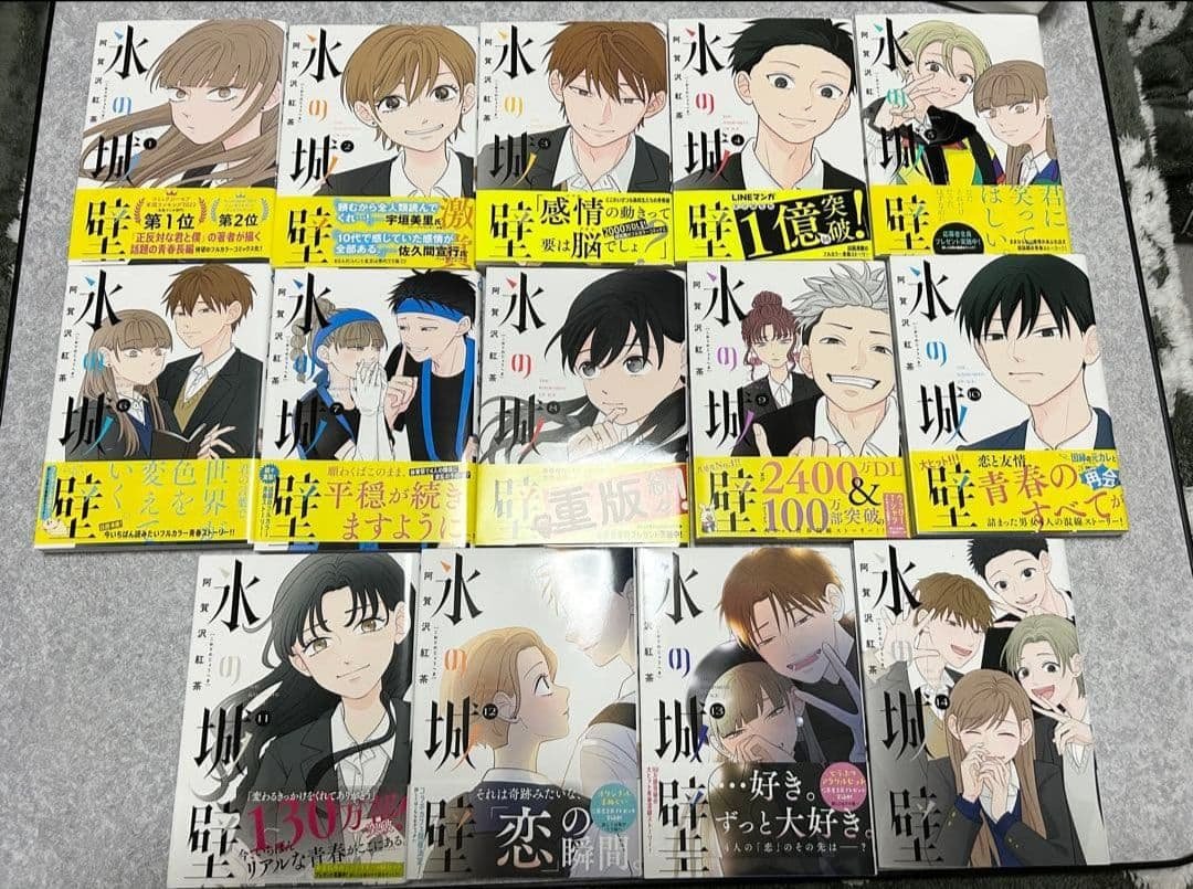 氷の城壁　1-14巻　全巻セット　阿賀沢 紅茶