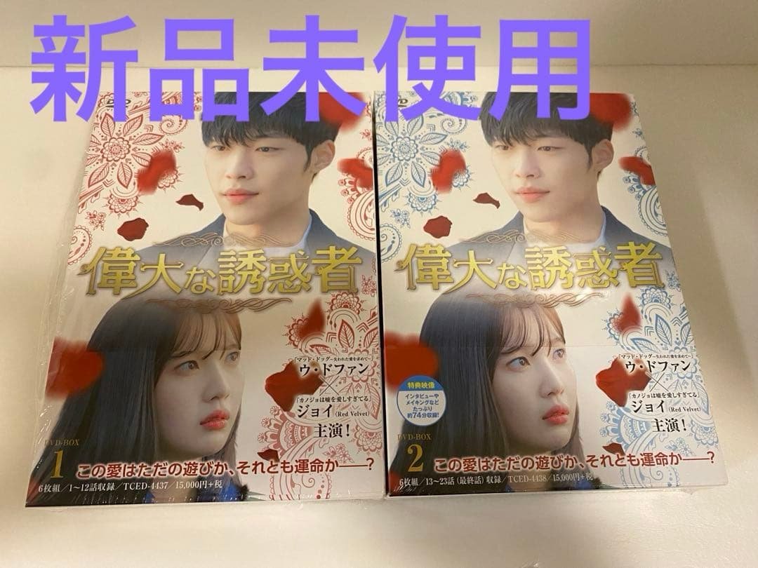 韓国ドラマ　偉大な誘惑者　DVDセット