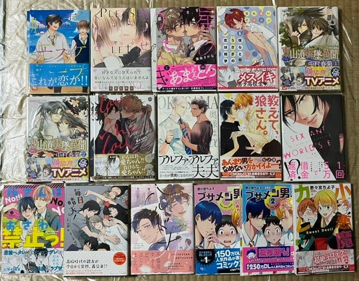 28 BL本まとめ売り　ボーイズラブコミックス　BOYS LOVE COMICS