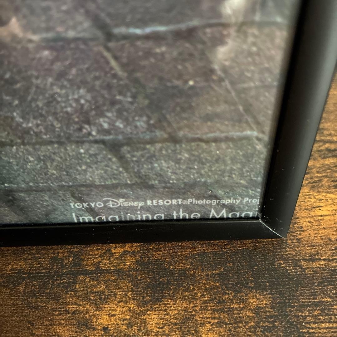 ディズニー　イマジニングザマジック　実写　フォトパネル　ポスター　額入り