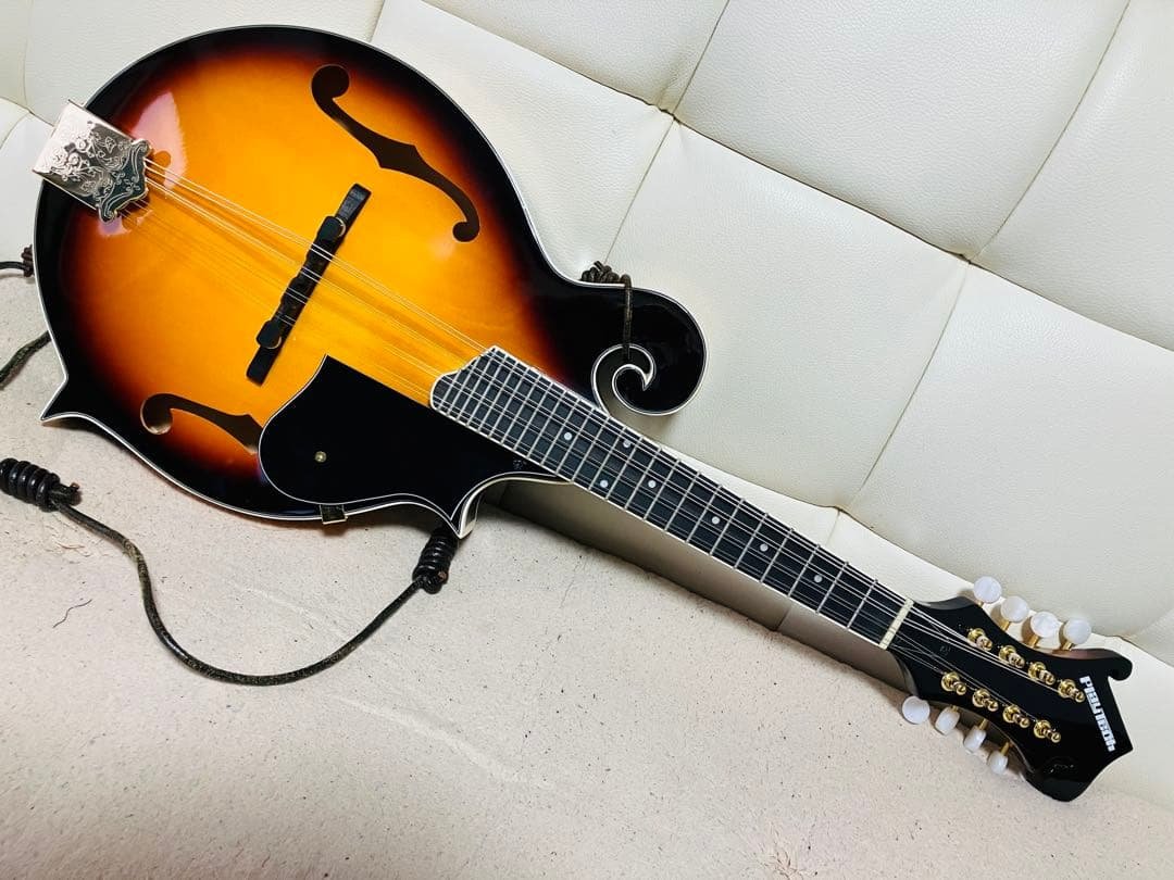 PLAYTECH Fタイプ フラットマンドリン