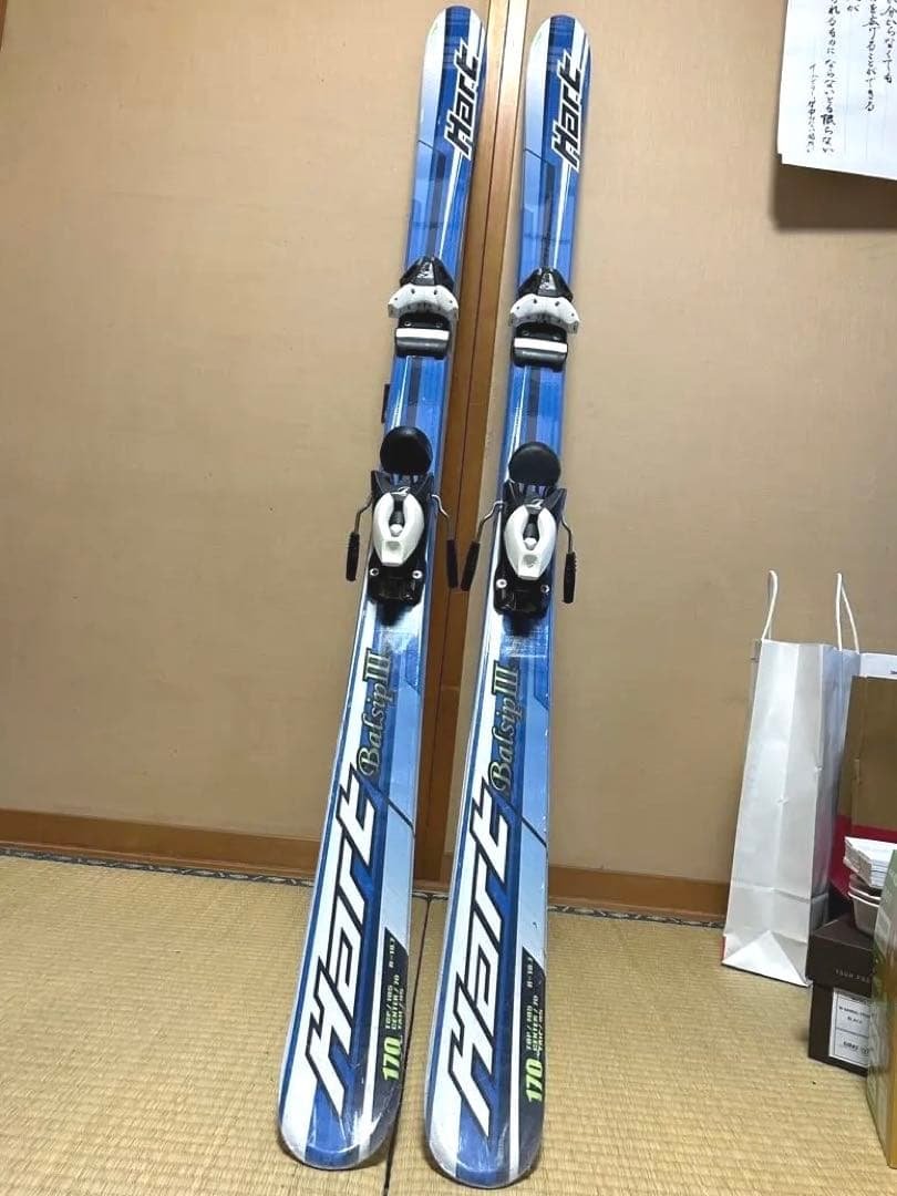 オフトレ最適　サマーゲレンデ用スキー板