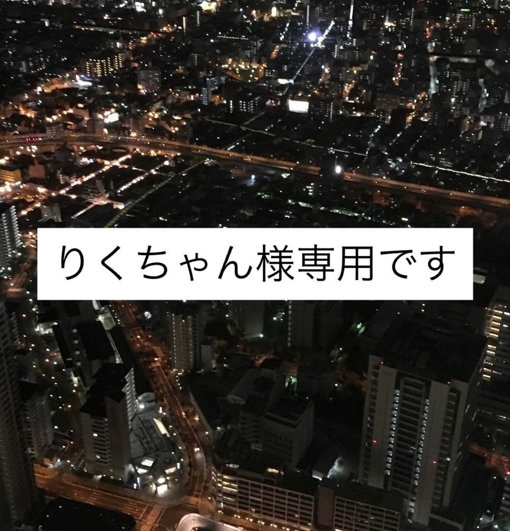 りくちゃん様　ビーニー