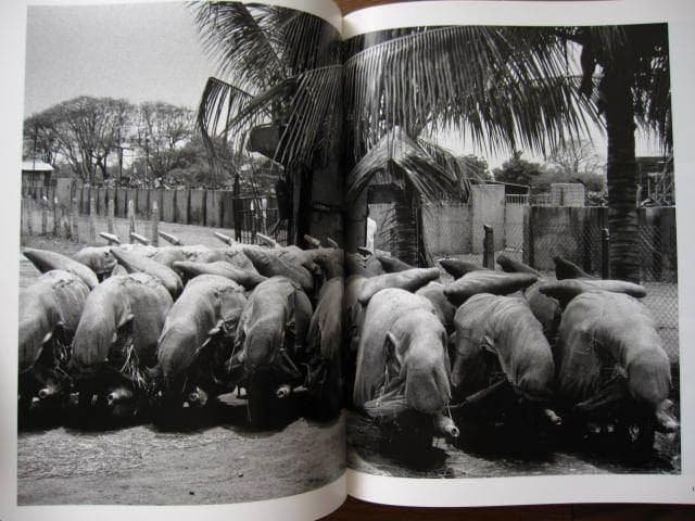 人間の大地　労働　Sebastiao Salgado