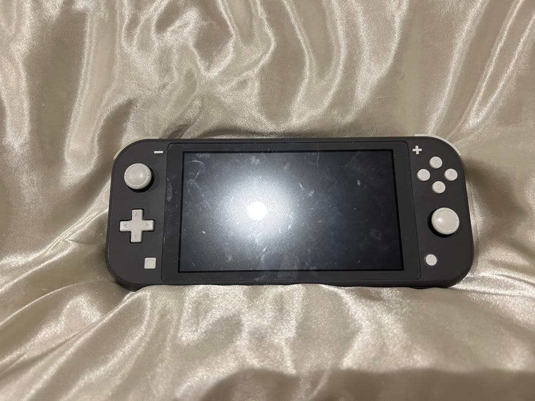 Nintendo Switch Lite 本体 ケース付き