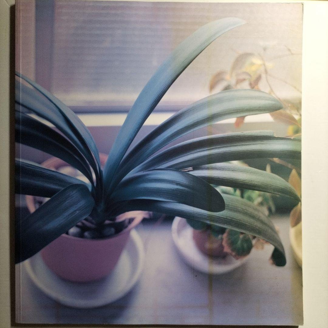 佐内正史　生きている