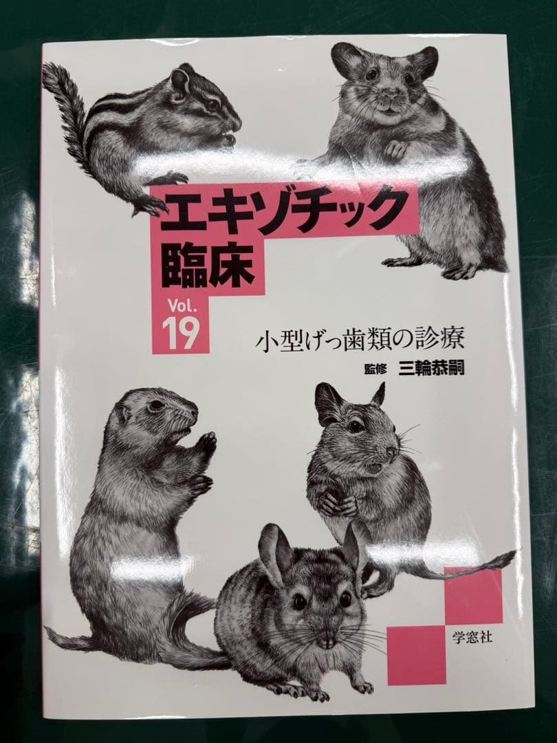 な*ほ様 エキゾチック臨床19 小型齧歯類の診療