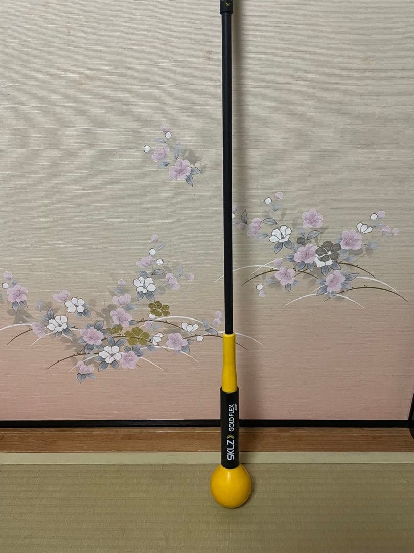 SKLZ Gold Flex ゴルフ練習用