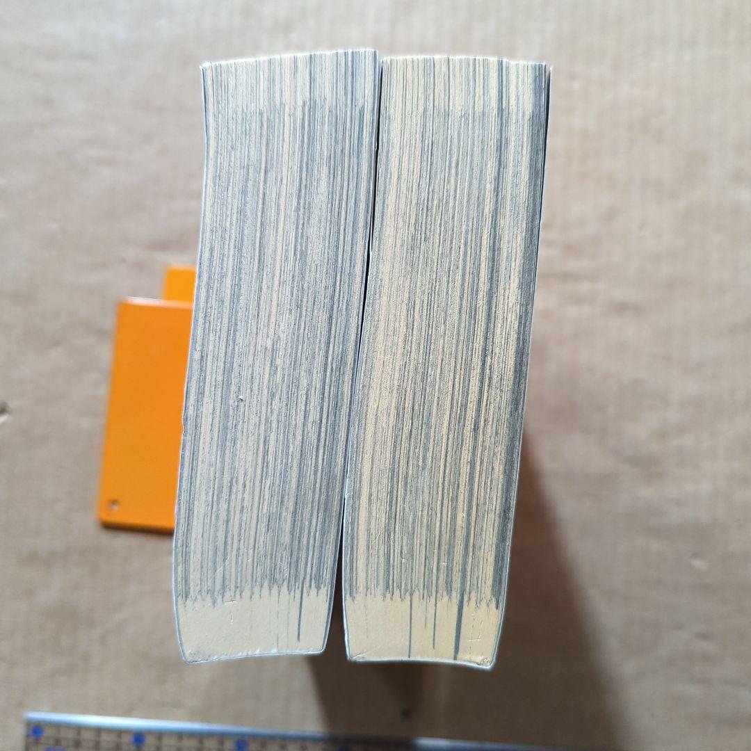 響～小説家になる方法～公式映画原作本 　平手友梨奈　柳本光晴　小栗旬 欅坂46