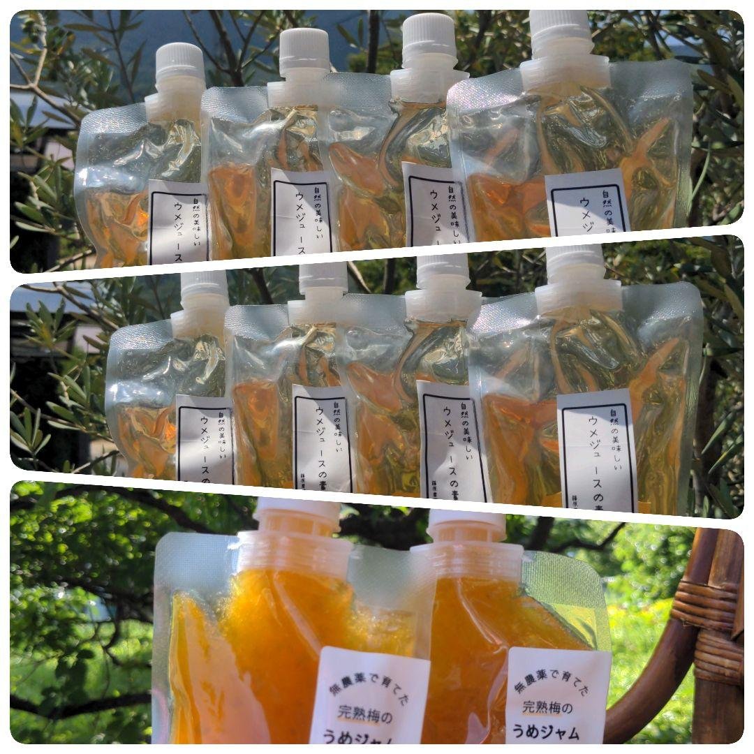 梅ジュースと梅ジャム